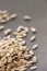 Cantaloup seeds on gray background