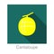 Cantaloupe fruit flat icon, vector illustration