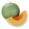 Cantaloupe honeydew 3d rendering isometric icon.