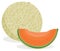 Cantaloupe melon