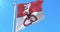 Canton of Obwalden Flag, Switzerland. Loop