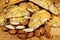 Cantucci Tuscany Italy - Typical dry biscuits with almonds