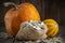 Canvas bag of pumpkins seeds and two pumpkins on wooden table.