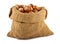 Canvas bag with ripe hazelnuts