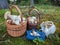 Canvas bags and wicker baskets with cep mushrooms in summer spruce forest