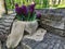 Canvas planters with burgundy hyacinths and muscari on a bench hollowed out in a recumbent tree trunk in a park on Elagin Island