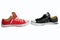 Canvas shoe balttle with white background, red and black shoe