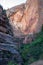 Canyon along the Observation Point trail in Zion National Park. High sandstone cliffs