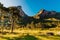 Canyon with araucaria trees and rocks with morning light in Santa Catarina, Brazil