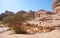 Canyon in archaeological site Madain Saleh Saudi Arabia