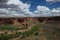 Canyon de Chelly 3598