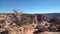 Canyon in the desert with dead tree in foreground