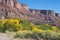 Canyon of the Dolores River