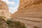 Canyon of Ein Avdat National Park, the Negev Desert, Southern Israel