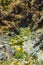 Canyon of fear, Barranco de las Angustias, on La Palma