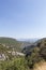 Canyon Gorges de la Nesque, gray cliffs with green forest in summer sunny day in Provence, South France