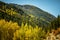 Canyon hill filled with colorful fall trees