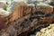 Canyon at Mesa Verde