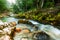 Canyon Mostnica near lake Bohinj in Slovenia