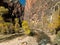 The canyon narrows along the Virgin River in Zion