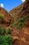 Canyon between ochre rocks, with a dirt road worn by the rains and with bush vegetation