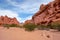 Canyon Quebrada de las Conchas