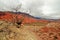 Canyon Quebrada de las Conchas