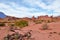 Canyon Quebrada de las Conchas