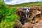 Canyon scenery with waterfall, Bourkes Luck Potholes, South Africa