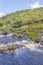 Canyon stream and forest in background