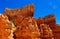 Canyon Wall or Fin landscape at Navajo loop trail, Bryce Canyon National Park