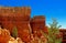 Canyon Wall or Fin landscape at Navajo loop trail, Bryce Canyon National Park