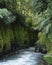 Canyon in the Whirinaki Forest Park called Te Whaiti-Nui-A-Toi. New Zealand