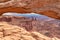 Canyonlands - Scenic view through Mesa Arch near Moab, Canyonlands National Park, San Juan County, Southern Utah, USA