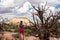 Canyonlands - Woman next to old dry juniper tree with scenic view of sandstone summit Aztec Butte, Utah, USA