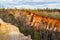 Canyons in Providence Canyon State Park, Georgia, USA