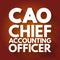 CAO - Chief Accounting Officer acronym, business concept background