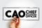 CAO Chief Accounting Officer - highest financial position in the business and manages things like budgets, forecasts, credit,