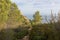 Cap Canaille cliff overlooking the Mediterranean Sea blue waters between the towns Cassis and La Ciotat