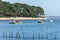 Cap Ferret, Arcachon Bay, France. Oyster boats on water