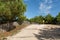 Cap Ferret, Arcachon Bay, France. Pathway at the point of the peninsula