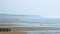 Cap gris Nez, in the fog in soft evening light with tiny persons in front, view from the beach