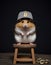 Cap-wearing Hamster with Bitcoin AI Generative