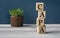 CAPA - acronym on wooden cubes on the background of a cactus