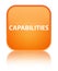 Capabilities special orange square button