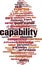 Capability word cloud