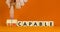 Capable or incapable symbol. Concept words Capable or Incapable on wooden cubes. Businessman hand. Beautiful orange table orange