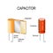 Capacitor. appearance and interior. how the capacitor works