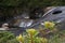 Caparao National Park - Natural pools