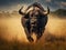 Cape Buffalo